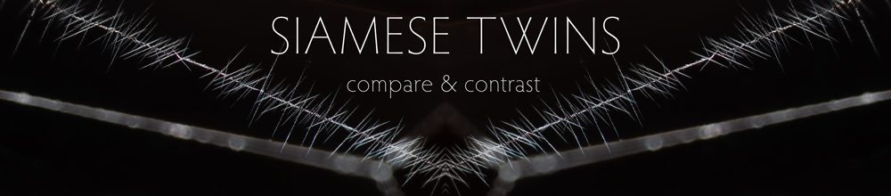 Siamese Twins &mdash; Feature Comparison & Contrast