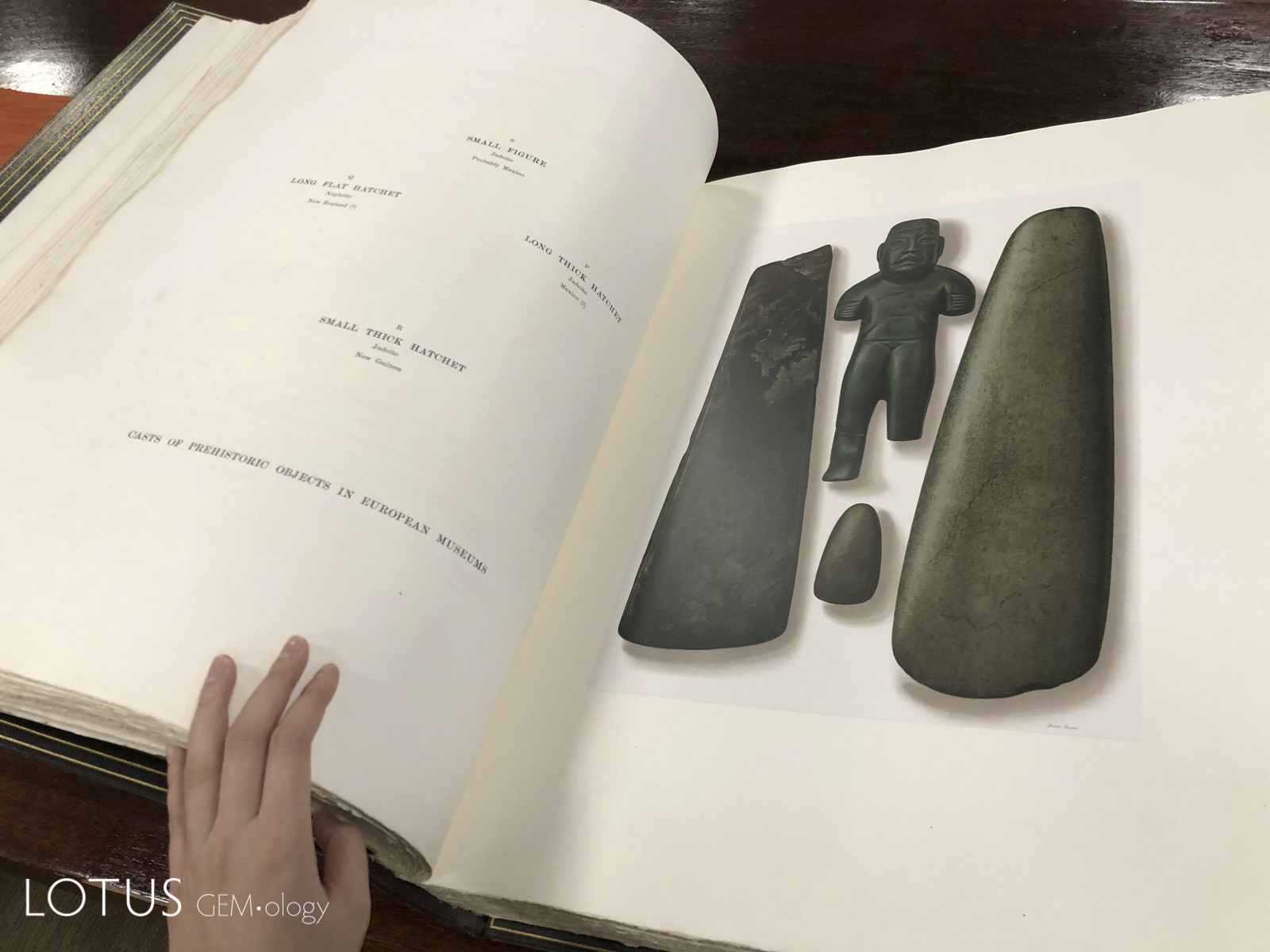 Two of the amazing lifelike plates from The Bishop Collection in the library of Chicago’s Field Museum