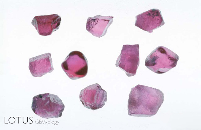 Figure 8. Ninth-century technique for heating Möng Hsu ruby from Myanmar before (left) and after (right) low temperature heat treatment. The process used is just as described by al-Bīrūnī. The stones were heated in air to 1100°C for 20 hours. Clearly this process has greatly increased the value of these rubies by simply reducing the concentration of Fe2+–Ti4+ pairs by a few ppma, thus removing the blue colour zones. Photos: John L. Emmett. Heat treatment of ruby was not the only gem enhancement mentioned by al-Bīrūnī. He also gave an extremely detailed description of pearl treatments and imitations (Sersen, 1991).