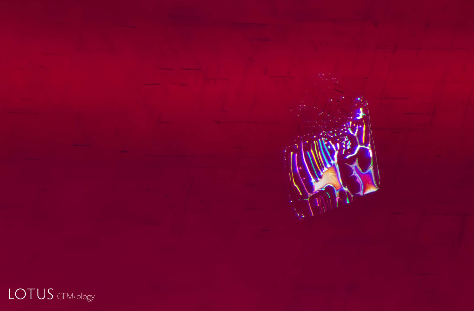 Figure 3. A melted fingerprint with drippy edges provides evidence that this ruby was heated. Photo: E. Billie Hughes/Lotus Gemology. Field of view 1.8 mm.