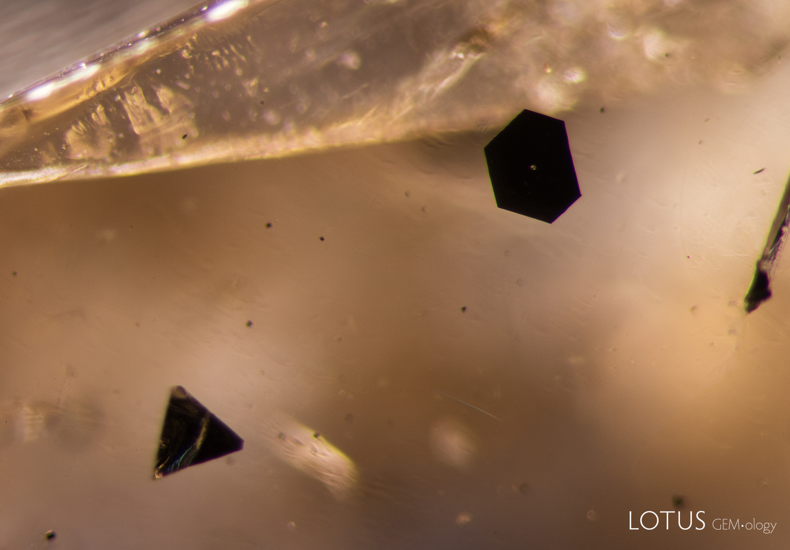 Triangular and hexagonal platinum platelets in a Chatham flux synthetic sapphire.