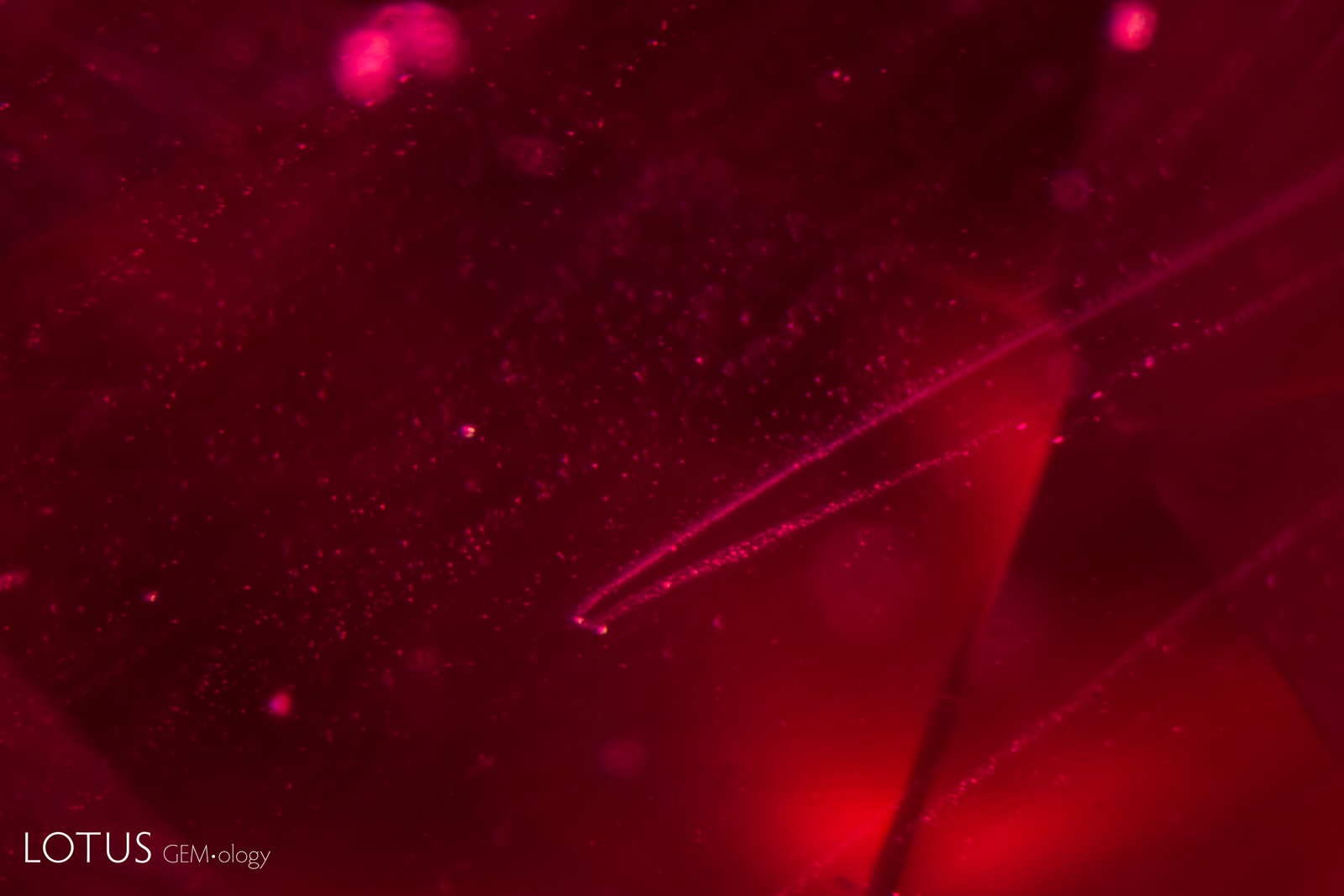 Rain-like inclusions in a Kashan synthetic ruby.
