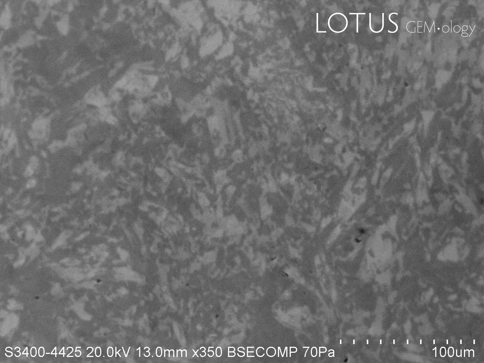 Fig 2b BSE Fei Cui magnified
