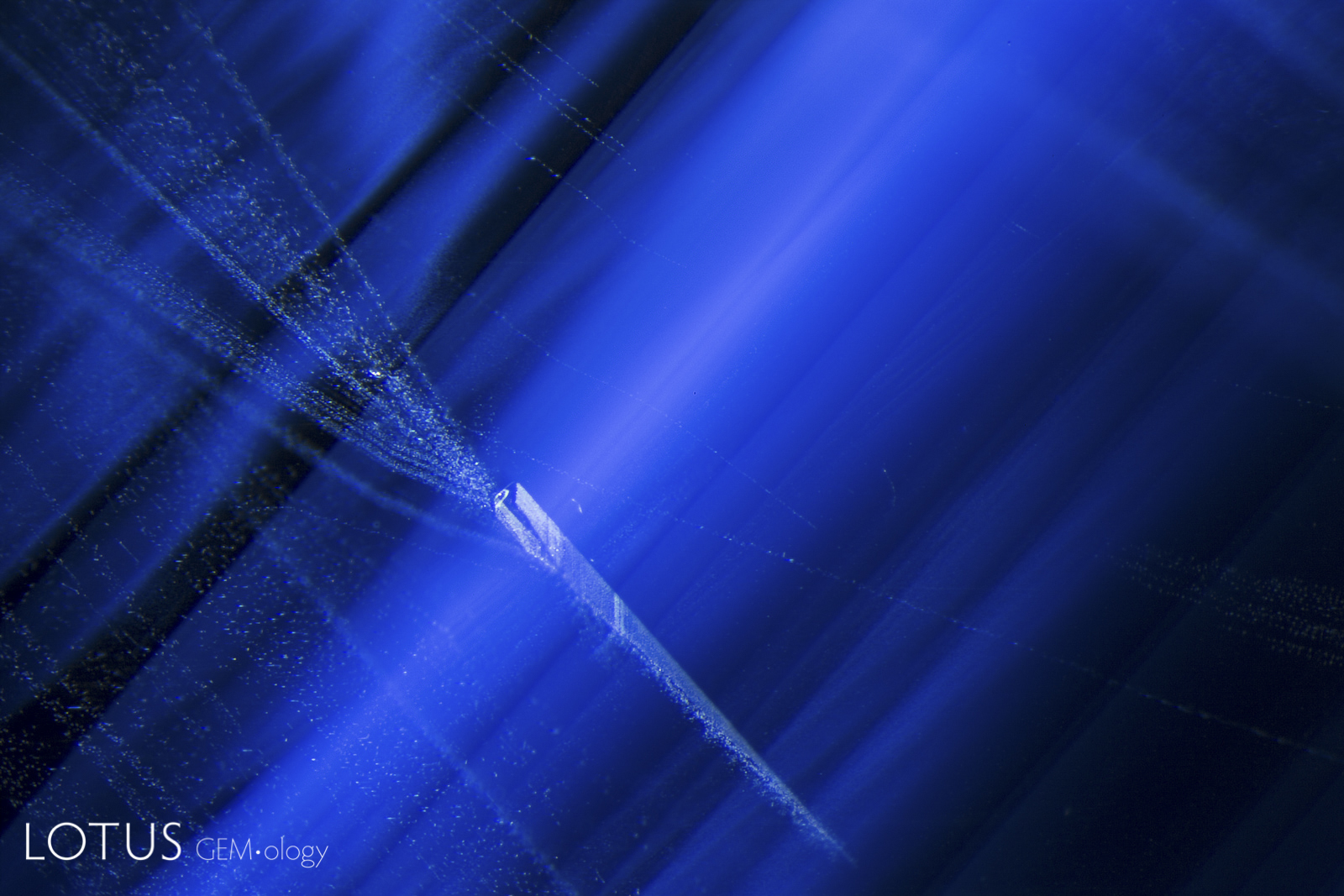 Turbid texture clouds and streamers coming off a negative crystal in a Madagascar blue sapphire. Photo: Richard W. Hughes
