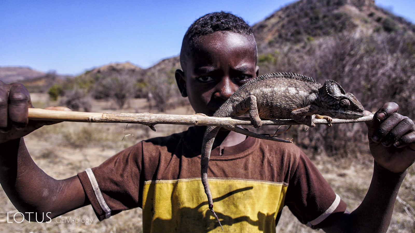 Displaying a chameleon for the vazaha on the road to Ilakaka.