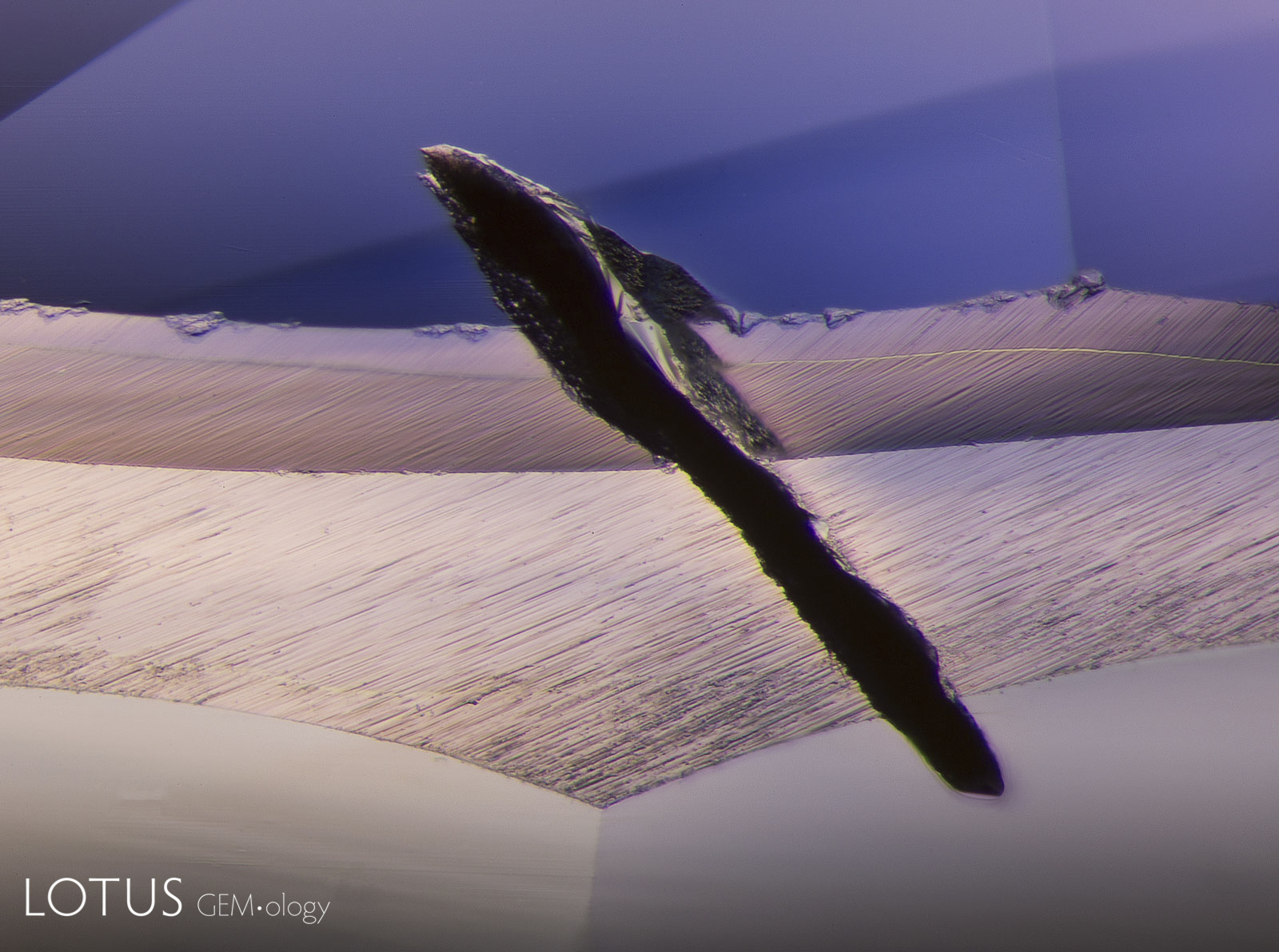 decolorized zones surrounding the clouds, a process dubbed “chromophore cannibalization” by photomicrographic maestro John Koivula. Photo: Richard W. Hughes; click on the photo for a larger image. A narrow and deeply indented natural on the girdle of a Madagascar sapphire. These features are quite common on Madagascar sapphires of all colors. Photo: E. Billie Hughes