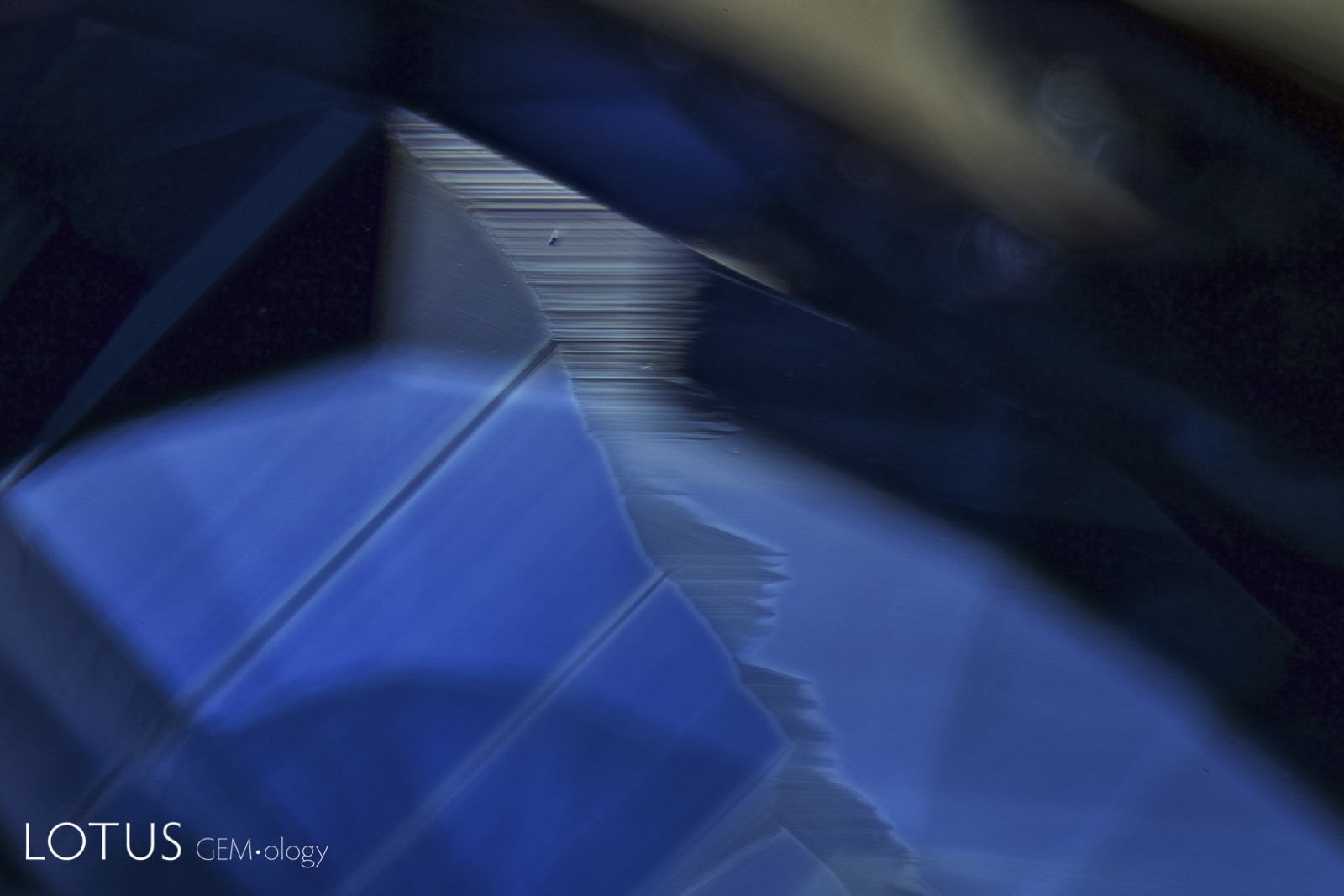 Dense clouds of exsolved titanium-bearing minerals have created the fanciful scenery within this untreated sapphire from Madagascar. As the crystal cooled these growing clouds sucked titanium from the surrounding sapphire, thus robbing it of an essential chromophore. The result is decolorized zones surrounding the clouds, a process dubbed “chromophore cannibalization” by photomicrographic maestro John Koivula. Photo: Richard W. Hughes