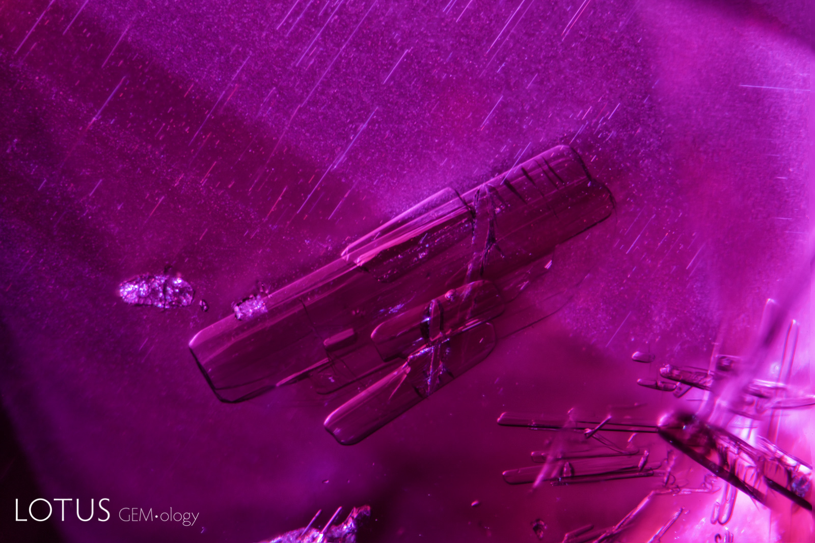 Like their cousins from nearby Mozambique, rubies from the Andilamena region frequently feature amphibole rods. Photo: Richard W. Hughes