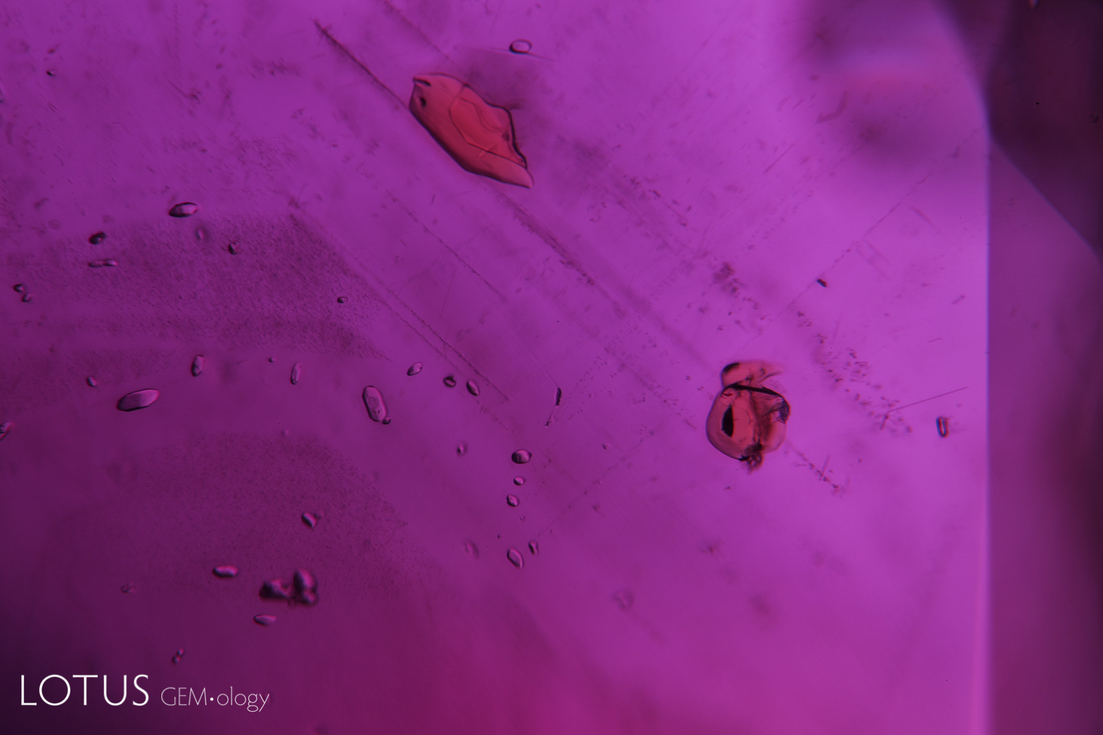 Orange monazite crystals, along with rounded zircons in Andilamena rubies. These inclusions are generally not found in rubies from Mozambique, and thus provide an excellent means of separation. Photo: Richard W. Hughes