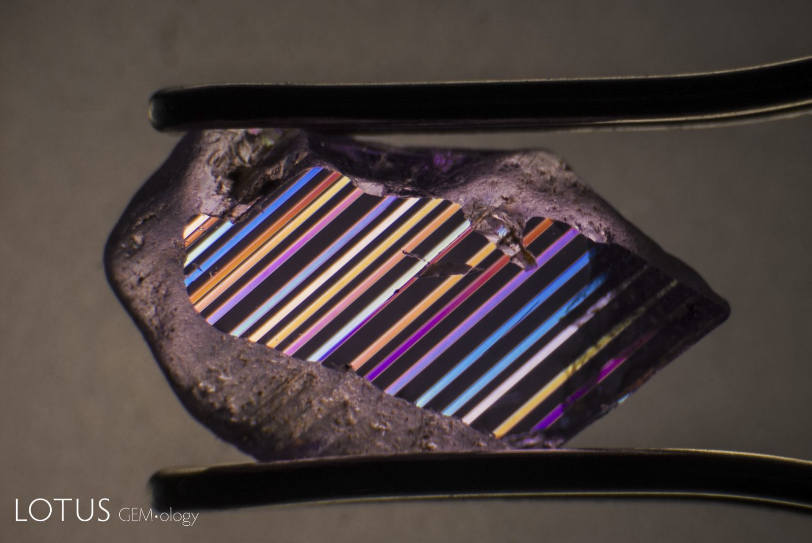 Polysynthetic twinning in a pink sapphire from Ilakaka, Madagascar in polarized light. Photo: Richard W. Hughes