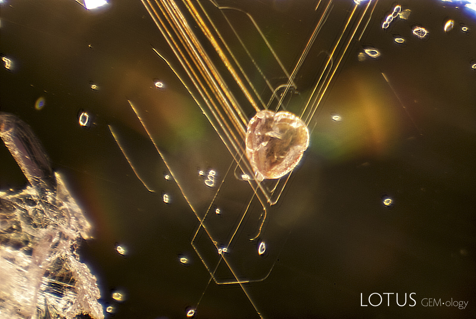 Growth tubes frame a large crystal inclusion, with rounded zircons in the background within this pink sapphire from Ilakaka, Madagascar. Photo: Richard W. Hughes
