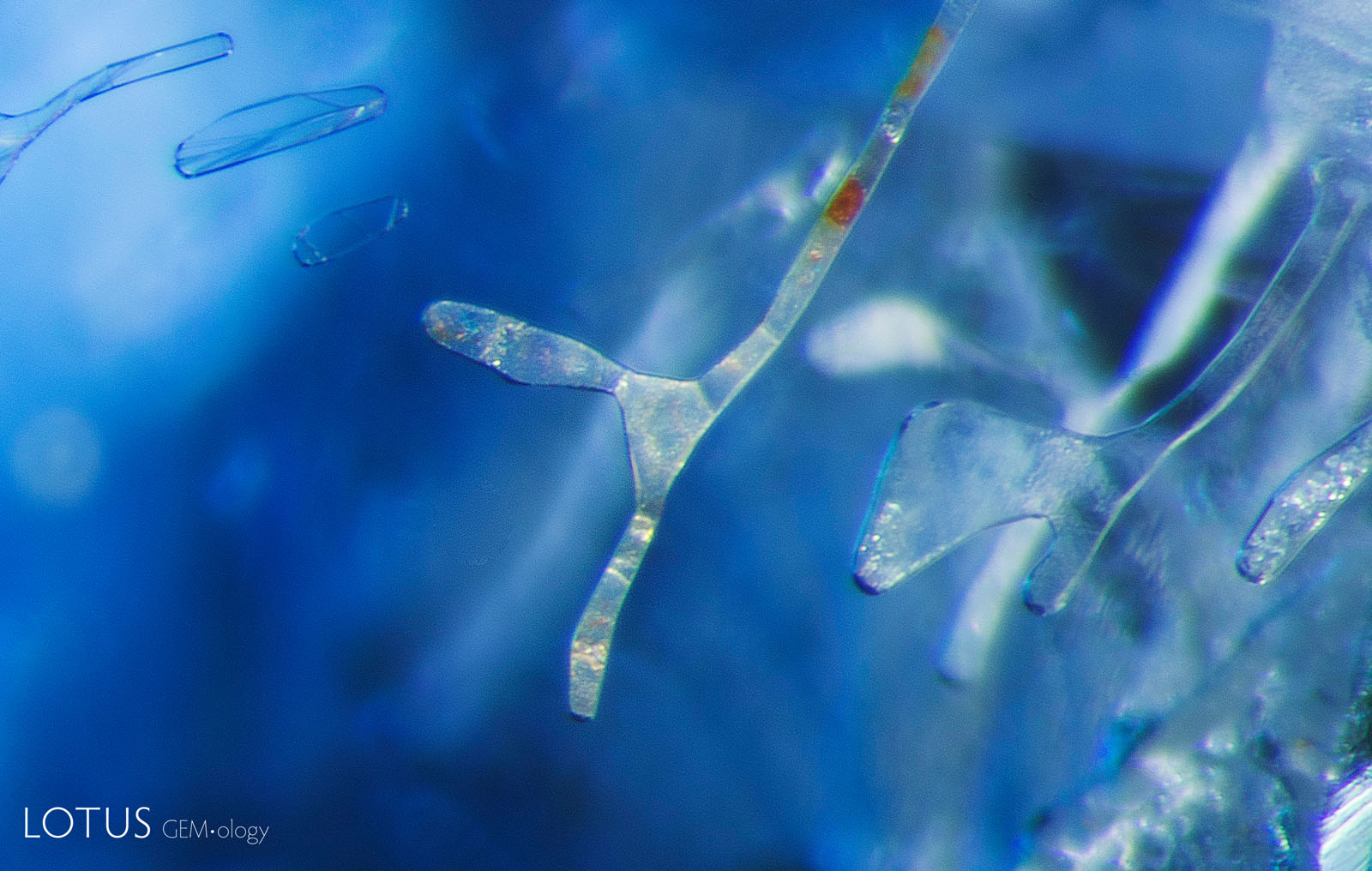 A: Before heating, sample 10 is filled with elongated negative crystals, some of which branch into “Y” shapes. Many of these are filled with orange stains, but most are removed after acid cleaning.