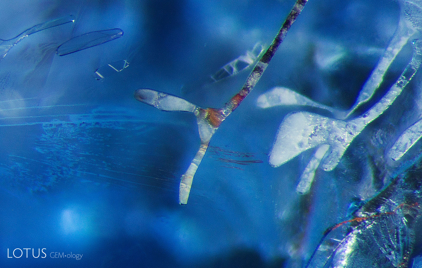 B: After the first round of heat, to 800°C, some changes are already apparent. The orange staining has turned a darker brownish shade. Some of the negative crystals, like the one on the right, have started to display a “frosty” white appearance on the surface. In the background behind the negative crystals, we can see faint signs of fissures and fingerprints beginning to develop.