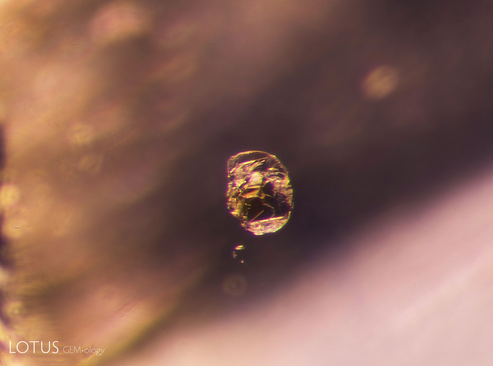 A: A small, flat crystal is pictured in sample 10 before heat treatment.
