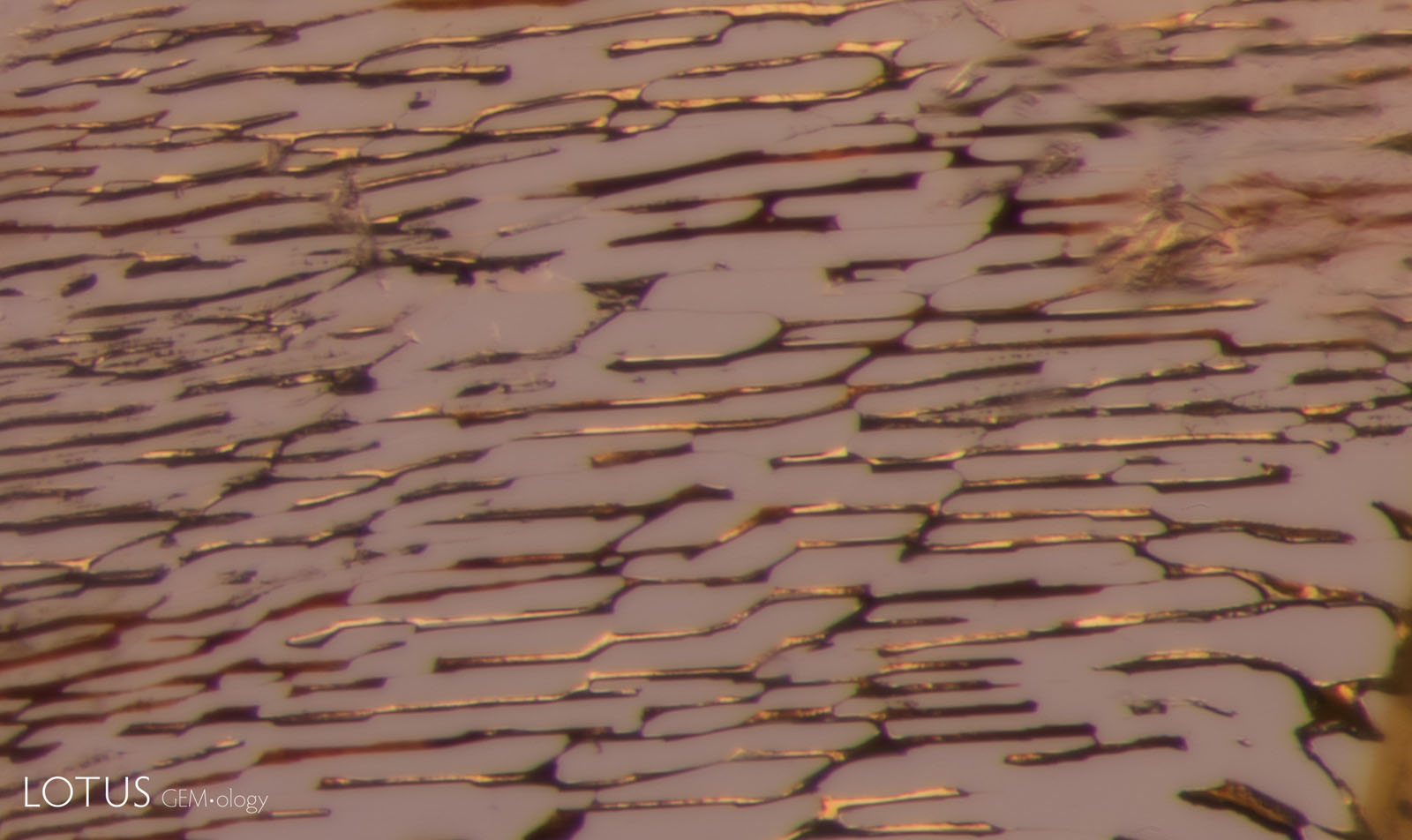 A: Partially healed fissure, or “fingerprint,” in sample 3 before heating. Note the elongated, tube-like channels.