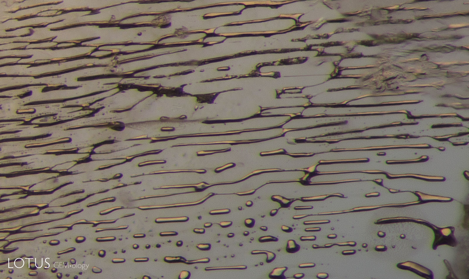 B: After heating the stone to 1500°C, many of the jagged edges of the tubes have become rounded, and some even “neck down” to form smaller, rounded shapes in place of elongated tubes (Hughes, 2017). Diffuse transmitted light. Photomicrographs by E. Billie Hughes; field of view 1 mm.