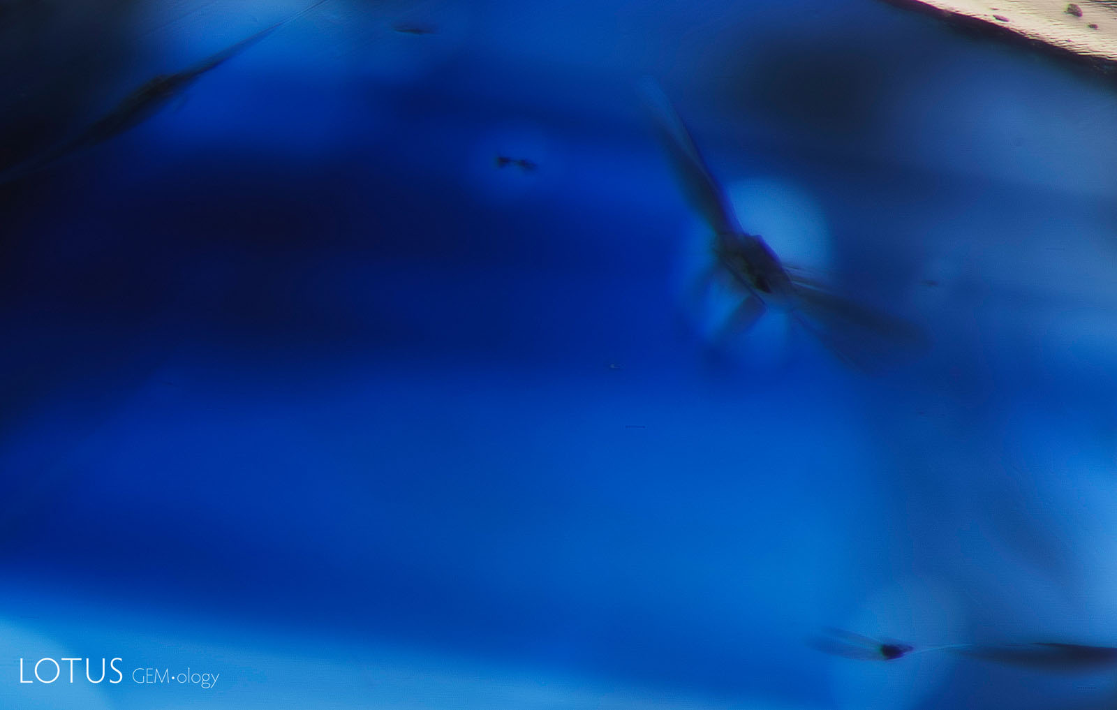 B: After the first round of heating at 800°C, we can already observe small changes, as two of the crystals have developed larger glassy fractures than they had originally.