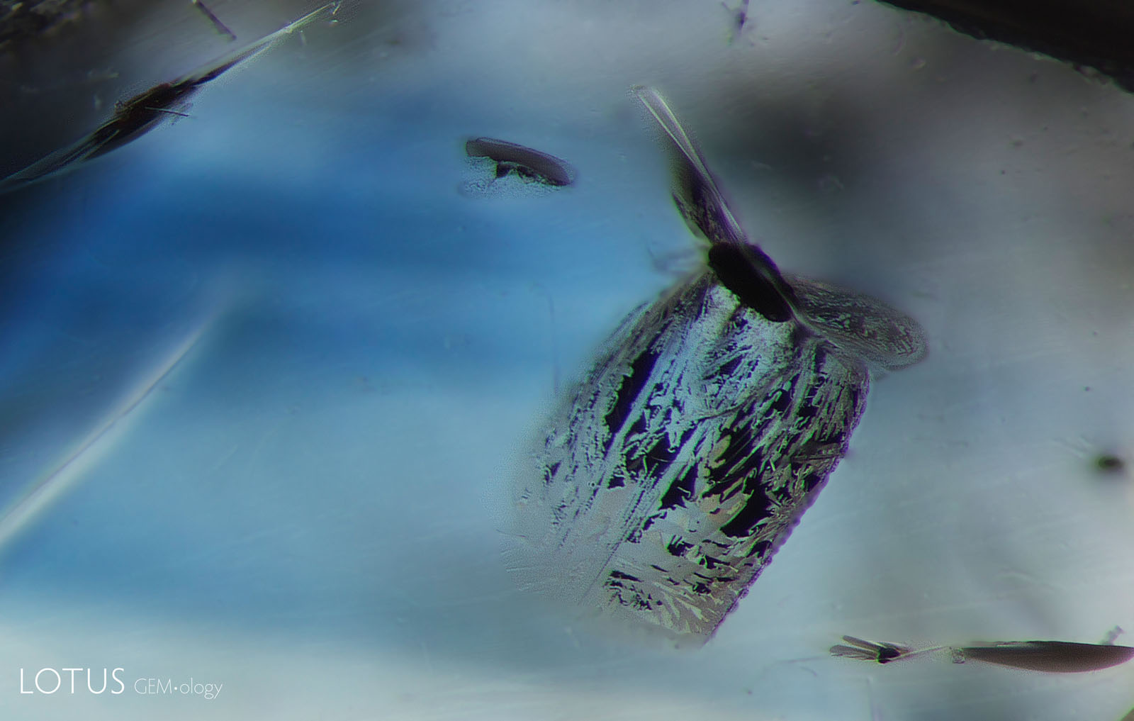 By the time the sample is heated to 1100°C, significant differences have emerged. The previously smooth and glassy fissures around the crystals have become larger and begun to heal, creating a “fingerprint” appearance. Also note that the decolorized areas are much less prominent, and that the overall blue color of the stone has become lighter. Brightfield illumination, with blue and white diffusing filters. A blue diffusing filter is used to color-correct the light source, which has a yellow tint, to make it more neutral. Photomicrographs by E. Billie Hughes; field of view 1.8 mm.
