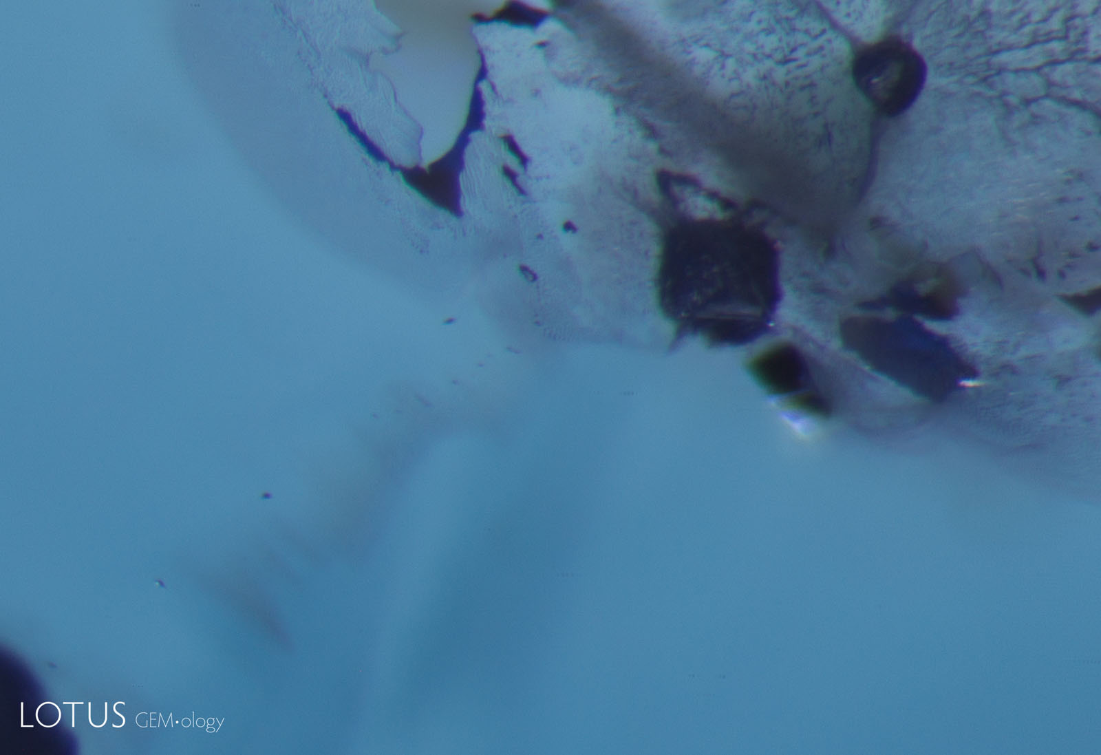 D: At 1500°C, the inclusion scene is almost unrecognizable. Large fissures have developed around both crystals and begun to heal, creating melted-looking fingerprints. The blue color zones have lightened to a pale brown, but the overall bodycolor has become a stronger, even blue. Brightfield illumination with blue and white filters plus diffuse oblique fiber-optic light. Photomicrographs by E. Billie Hughes; field of view 1.7 mm.