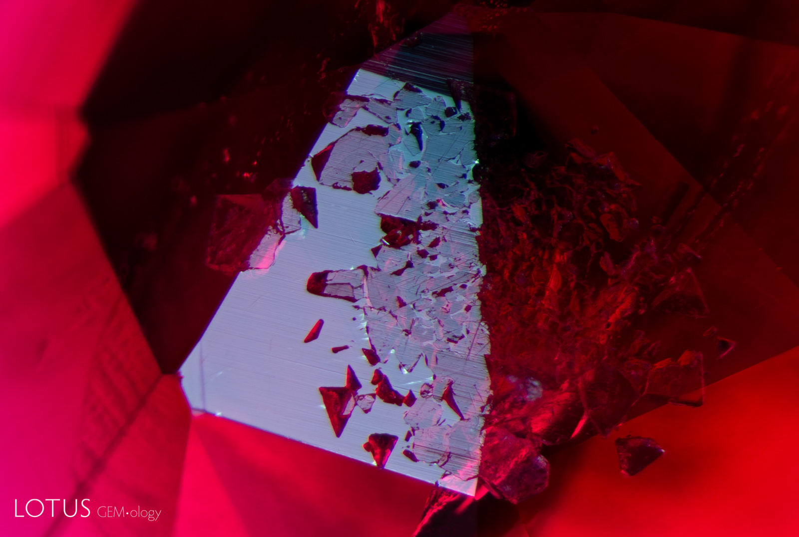 A 003 7978 1