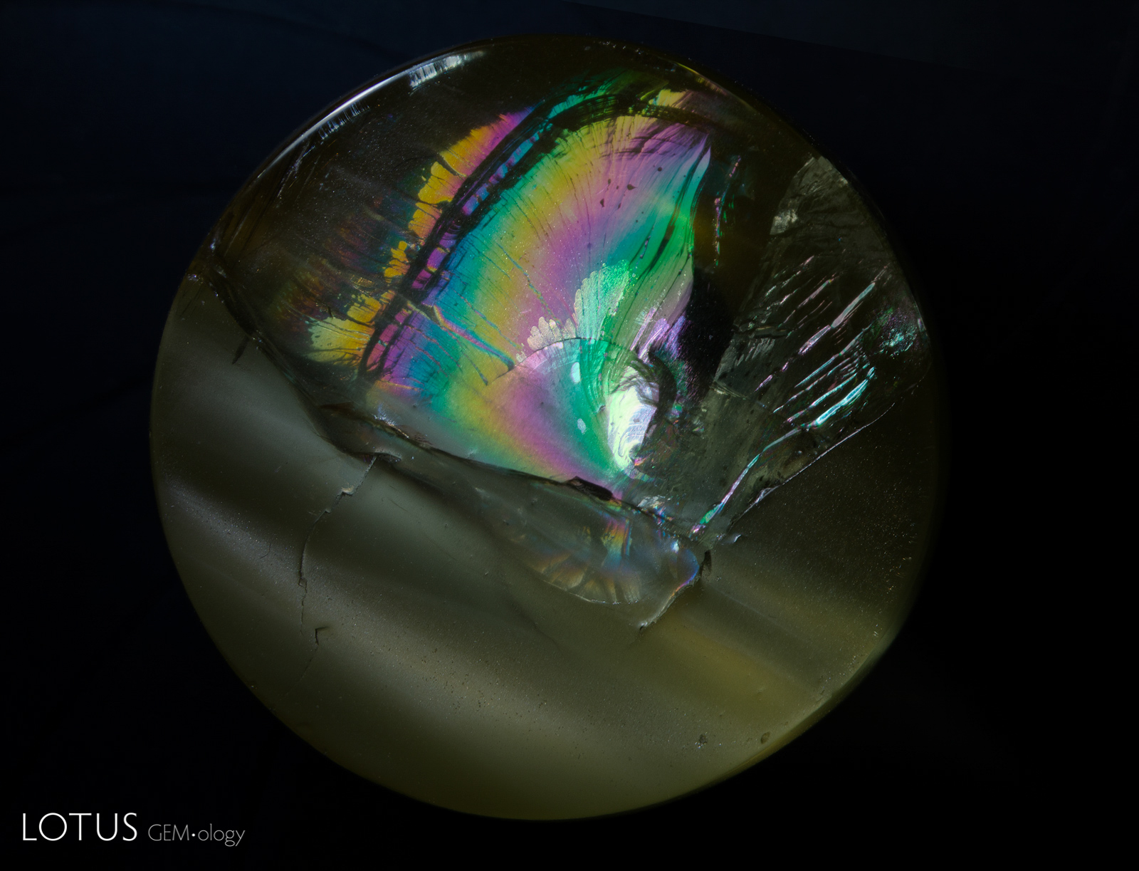 oiled apatite 1A