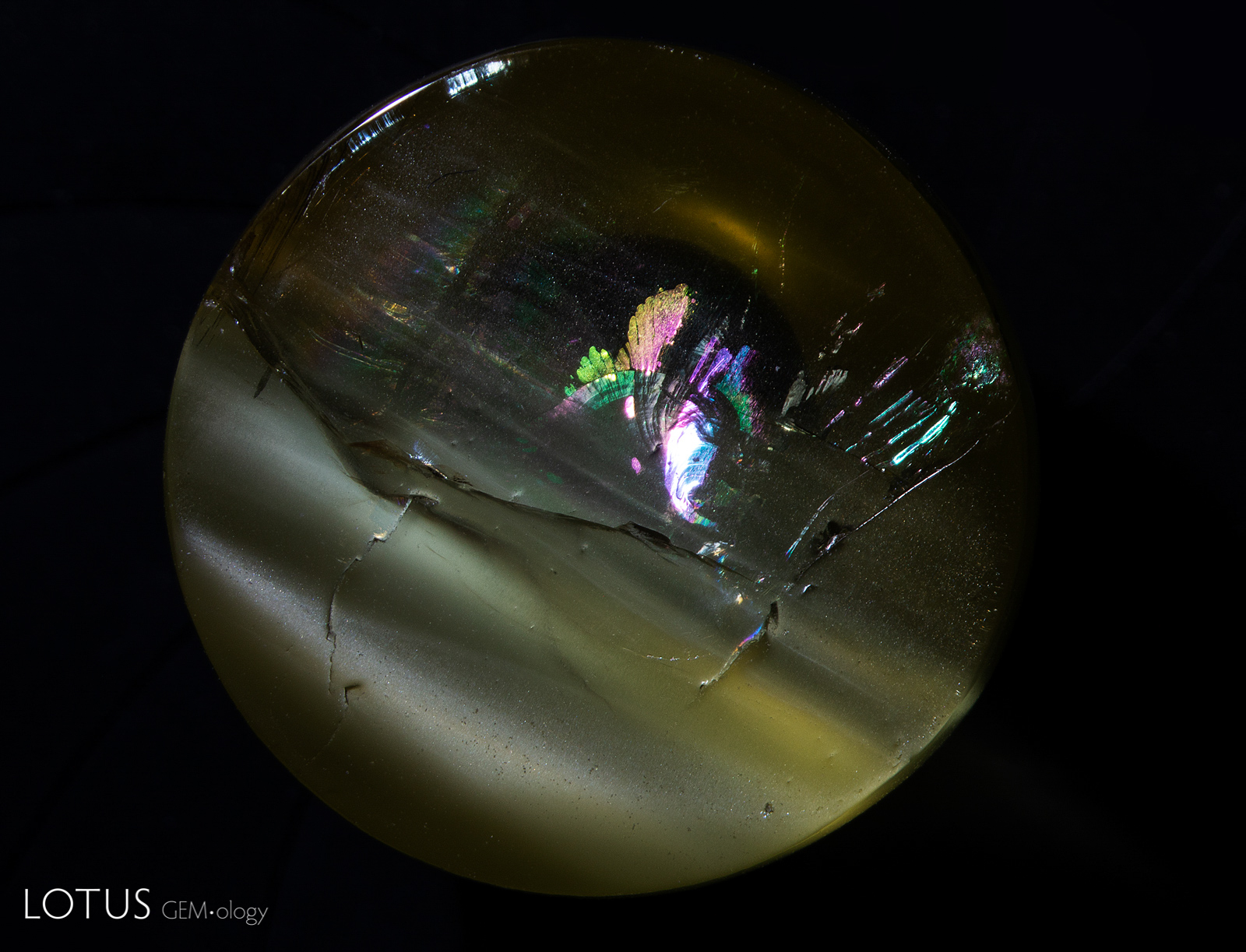 oiled apatite 1B