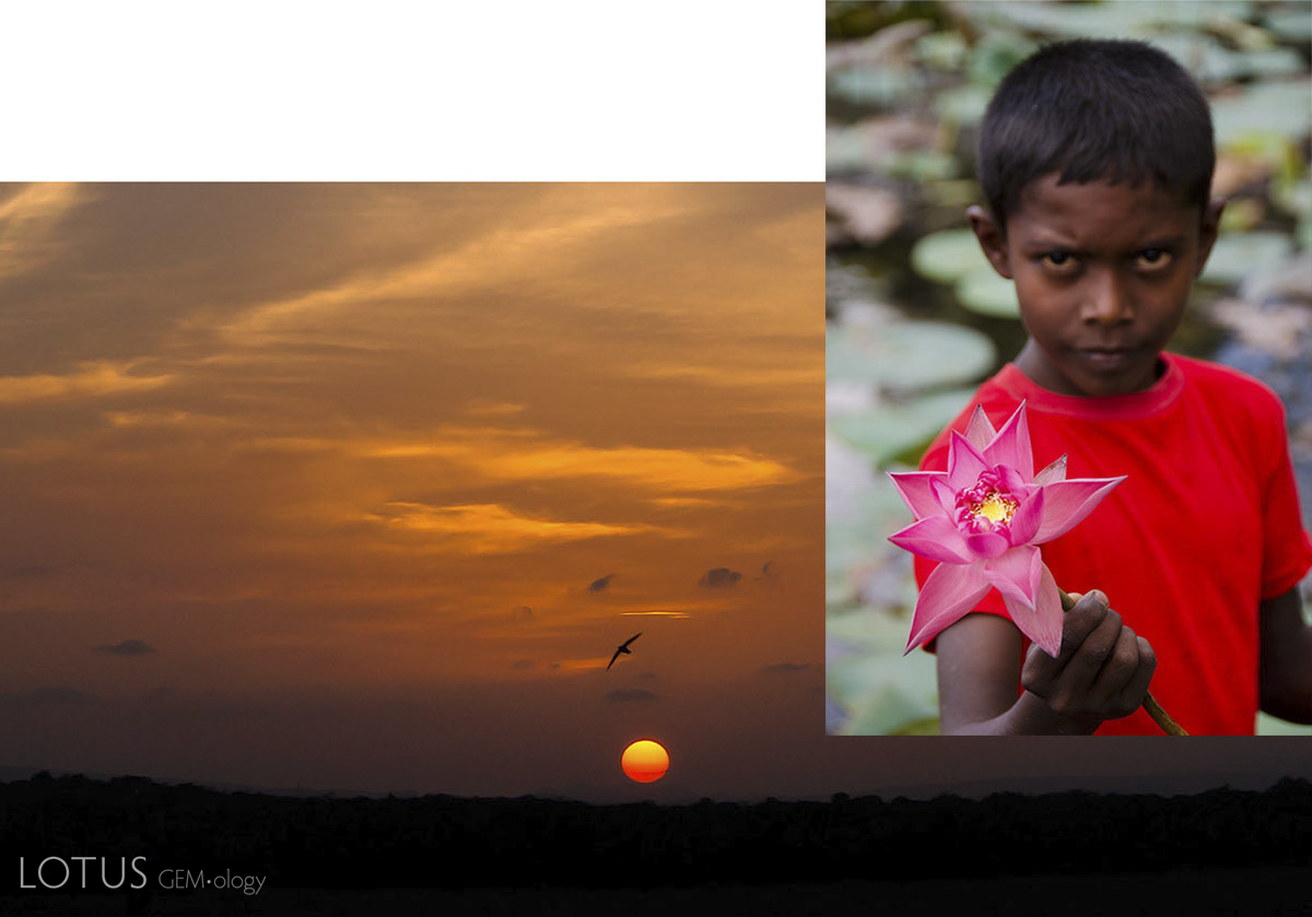 A marriage made in heaven The ideal color of a padparadscha has been described by some as the marriage between a lotus flower and a sunset, each shown above in Sri Lanka. Photos &copy; Wimon Manorotkul (left) & Richard W. Hughes (right).