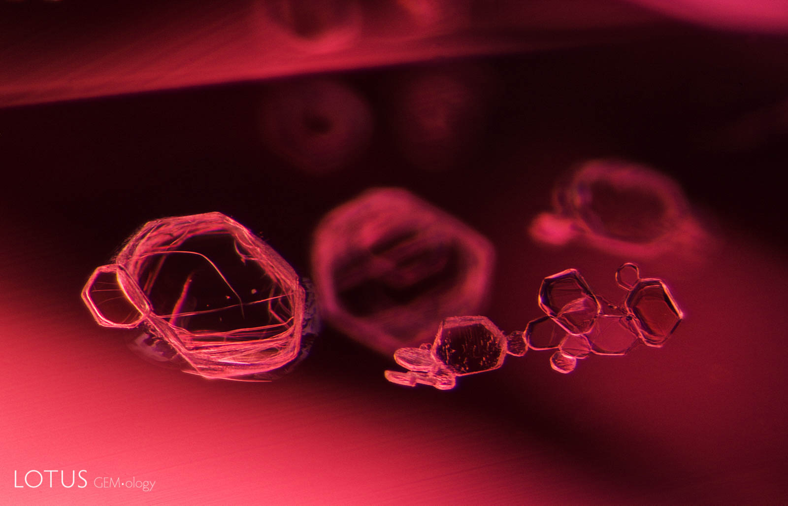 Small transparent crystals form clusters in a Vietnamese spinel. These tabular crystals are transparent and doubly refractive. Dark field illumination.