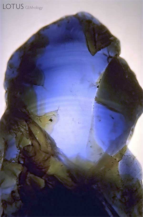 Lower left: Curved color banding is clearly visible with immersion.