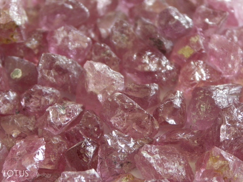 Rough spinel from Kuh-i-Lal. Photo: Vincent Pardieu