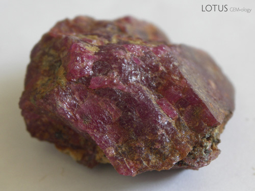 Rough Tajik ruby in the Gubjemast office in Dushanbe. Photo: Vincent Pardieu