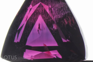 Rutile silk with vague blue zones in an untreated Mozambique ruby. Note that where the planes of rutile silk are concentrated, the blue color is absent. This is caused by what inclusion specialist John Koivula has dubbed “chromophore cannibalization.” Rutile consists of titanium dioxide and as it grows it sucks the titanium out of solid solution from the surrounding ruby, cannibalizing (removing) the blue color in the process.