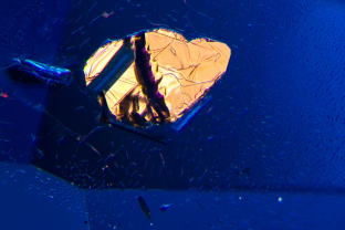 A crystal embedded in a fingerprint produces a brilliant reflection in this unheated sapphire from Sri Lanka.