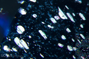 A-001-0587-1
