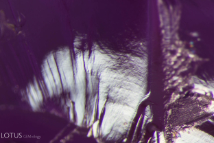 With magnification, curved straie can be seen in this piece of Verneuil flame-fusion synthetic sapphire that was masquerading as a piece of natural rough.