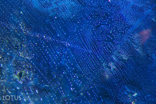 A-001-2135-3