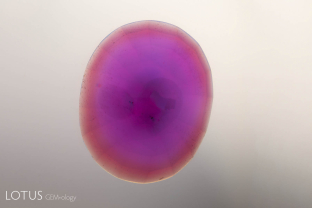 A-001-2297-1