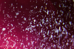 Mozambique rubies contain mixed silk, where part is rutile and part is another mineral. When heated, the non-rutile portion may show breakdown in the form of mottling or bubbles, as seen here.