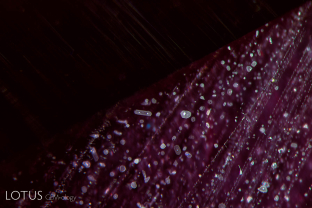 Rutile silk in a heated Mozambique ruby showing obvious signs of breakdown, with small bubbles appearing in the daughter crystals.