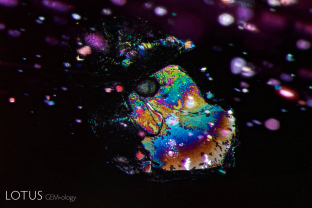 A melted crystal and surrounding fingerprint form a "Saturn inclusion" in this heated ruby from the Thai/Cambodian border. Thin films are also seen in the background and lie in the plane of the basal pinacoid.
