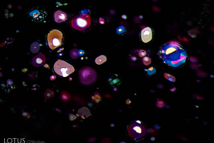 Thin film inclusions in the basal plane of a Thai/Cambodian ruby.