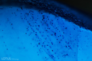 The small dots are gas bubbles showing blue color concentrations. Gas bubbles are a common feature in Verneuil synthetic corundum.