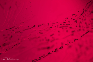 The elongated, melted droplets are part of a flux-healed fingerprint in a flux-heated ruby.