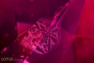 Unusual flat fingerprint in a red spinel.
