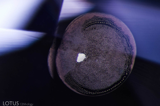A melted “snowball” crystal is surrounded by a fingerprint showing many small bubbles, a sign of heat alteration. This inclusion is typically found in heated Sri Lankan sapphire.