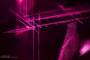 Rose channels in Thai/Cambodian ruby. These are often confused with rutile silk in corundum, but they are easily distinguished as they run in entirely different crystallographic directions. Rutile silk unmixes in three intersecting directions (60/120°) parallel to the faces of the hexagonal prism in the plane of the basal pinacoid (90° to the c-axis). In contrast, Rose channels form parallel to the edges of the rhombohedron, in three directions, but only two in the same place, oblique to the c-axis. They intersect at 86.1/93.9°.