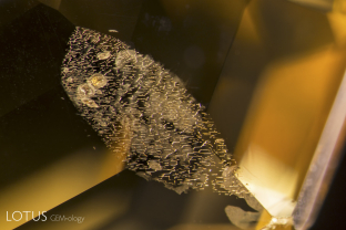 Heat-altered fingerprint in a heat-treated yellow sapphire from Sri Lanka. Note the small burst clouds around the fingerprint channels.