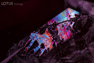 Iridescent fingerprint in a heat-treated ruby from the Thai-Cambodian border region. Note that the iridescence is mostly blue and red, because ruby absorbs the other colors of the spectrum.