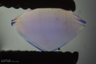 Immersion in di-iodomethane, accompanied with a blue filter, reveals the curved color banding in this synthetic sapphire.