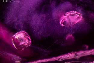 A pair of calcite crystals, identified with micro Raman, stand out against clouds of rutile silk in this ruby from Myanmar.